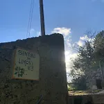 Casa Palomba 41